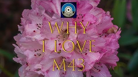 Olympus Photo Experience 68 - Why I Love M43 (Micro Four Thirds)