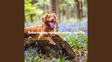 Pulsating Ambience for Timeless Soundtrack