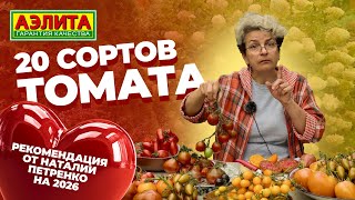 20 сортов и гибридов томата на 2026 год! Обзор урожая от Наталии Петренко!