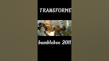 Evolution of Bumblebee #Shorts #Evolution