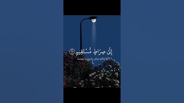 سورة يونس عبدالرحمن مسعد