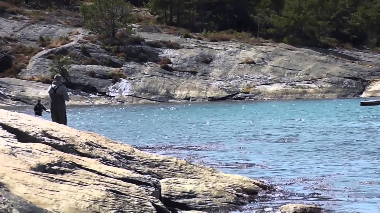 Sjøørretfiske i Sverige DEL 1/2 - YouTube
