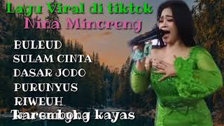 Nina mincreng