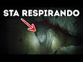 Mistero della Grotta che Costò Migliaia di Vite Spiegato