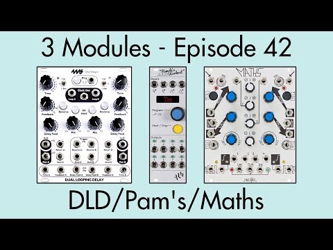 3 Modules #42: Dual Looping Delay, Pamela's New Workout, Maths