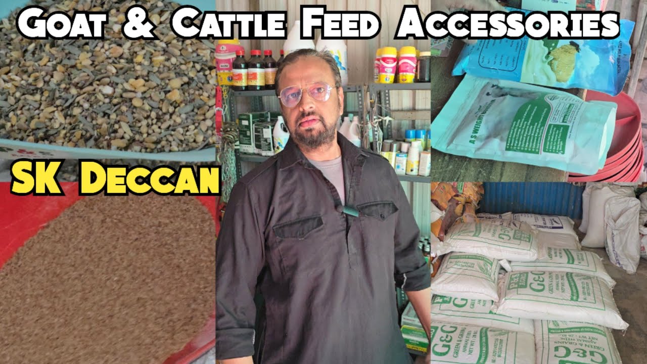Goats Cattle Poultry Feed Available At SK Deccan P&S Agro | All Types of Pets Feed & Accessories