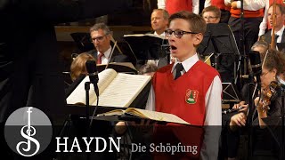 Haydn | The Creation