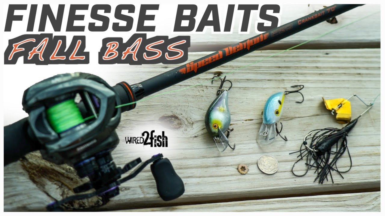 Best Lures for Fall Bass  Chapman's Finesse Approach 