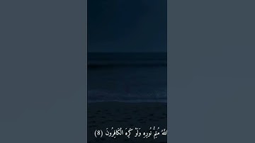 الشيخ/علي جابر-سورة الصف آية 8