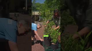 This GARDEN Grows 1/3rd of PENNSYLVANIA’S NATIVE PLANTS @FlockFingerLakes