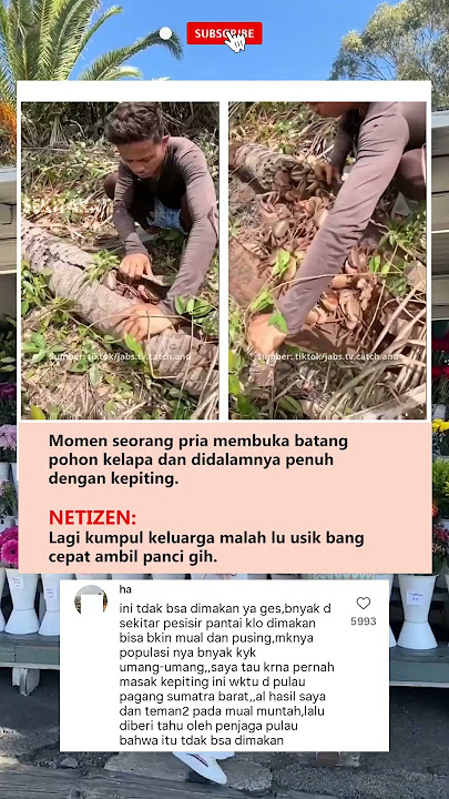 pasti mereka keluargannya tuan krab uang uang uang uang