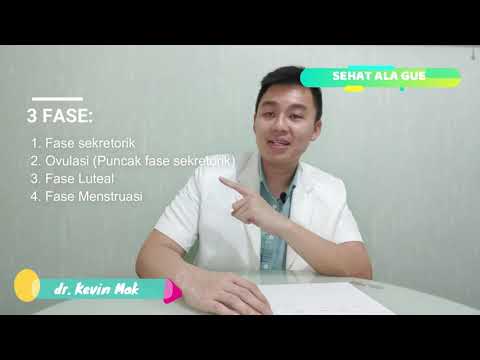 Video: Apa Itu Fase Luteal?