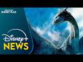 "Eragon" Disney+ Series Goes Into Development | Disney Plus News