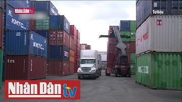 Buộc 30 hãng tàu tái xuất 1.100 container phế liệu ra khỏi Việt Nam