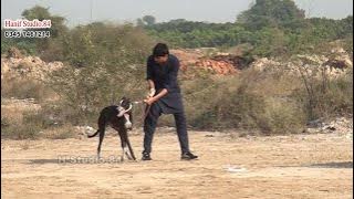 Track race Round 1 Dulam toba take sing 18 Nov 2025