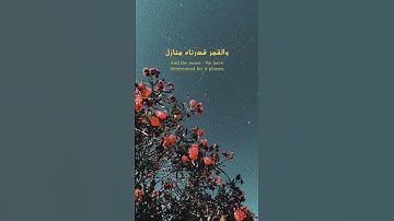 ﴿سبحان الذي خلق الأزواج كلها﴾ تلاوة أيوبية تحيي القلب للشيخ: محمد أيوب رحمه الله.