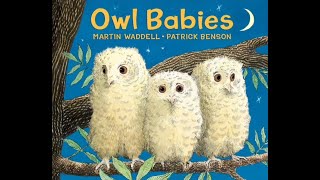 Owl Babies Read Aloud Bedtime Story About Missing & Waiting For