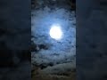 #halloween #fullmoon #moonlight #moon #bats  #bats #vampirebat #spookynight #nightsky #sky #spooky