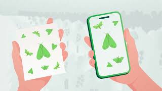 Trapview Scouting - An intuitive app for simplified pest monitoring