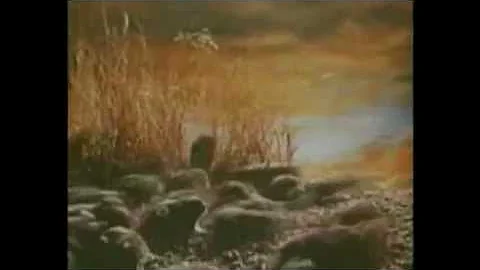 Лемминги