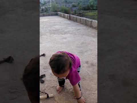 سليمان داود السلمي