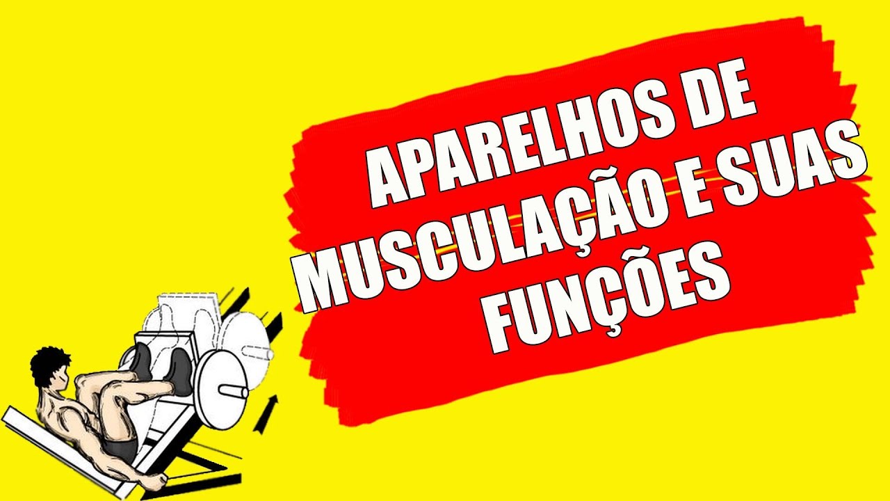 EQUIPAMENTOS DE MUSCULAÇÃO comuns nas academias e suas funções