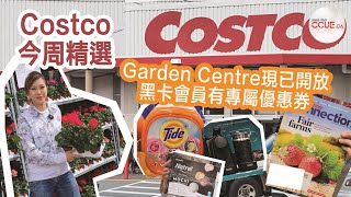 CCUE Costco貼士｜黑卡Executive會員定期有專屬優惠 Garden Centre現已開放落田種植好時機 好市多 多倫多生活 精明消費 costco情報 costco 萬錦