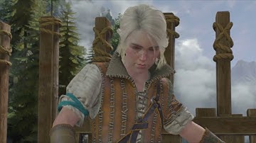 The Witcher 3 Wild Hunt Part 1 Lilac and Gooseberries 4k HDR Gameplay Walkthrough