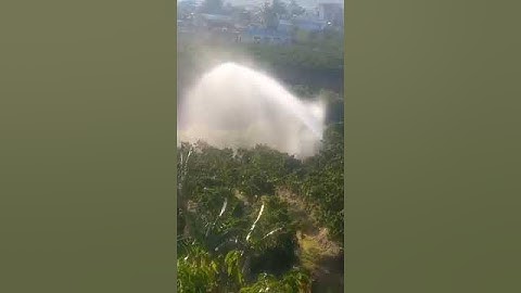 Béc Tưới SKY41 Khách Tưới Quá OK #shorts