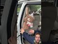 Give me teddy #stitchtricks #stitch #mgfoodandmukbang #mukbangfood #comedy #mukbanginternational