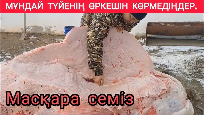 XXX порно жетілген жұптар жастарды үйретеді Славгородтағы ақша үшін секс