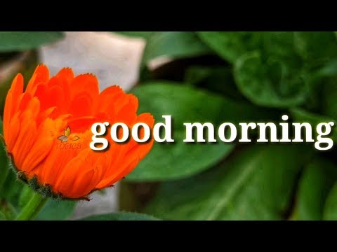 good-morning-sms