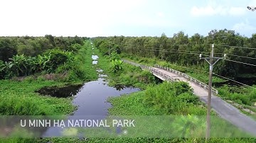 Mật ong rừng tràm U Minh - vùng khai thác rộng lớn: Rừng U Minh Hạ. Hotline: 0939159439