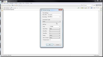 Using the terminal in CCS