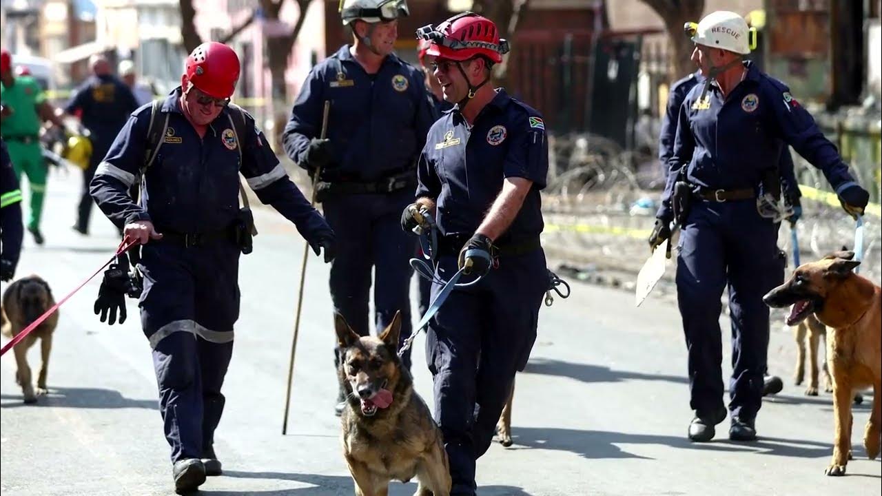 Sniffer dogs search ashes of deadly Johannesburg fire YouTube