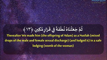 أُولَـٰئِكَ هُمُ الْوَارِثُونَ   تلاوة من سورة المؤمنون   القارئ ماهر المعيقلي