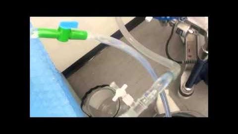 An In-Vitro model of Thoracic Aorta & Aortic Root, ABMC