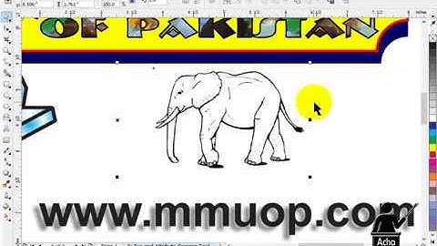 View Objects | CorelDraw Course | Lecture 33 of 63