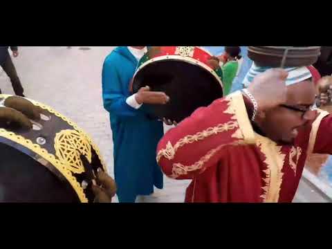 الغزالة لي سارحة في الغابة عرب فركوس 0672977862