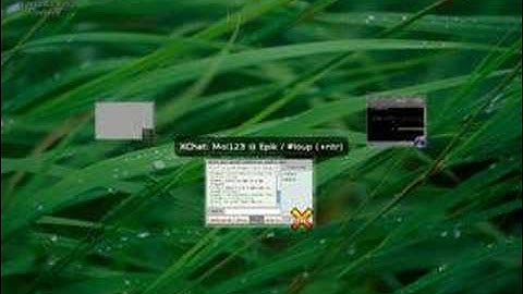 Beryl sur une Debian SID (Lenny)