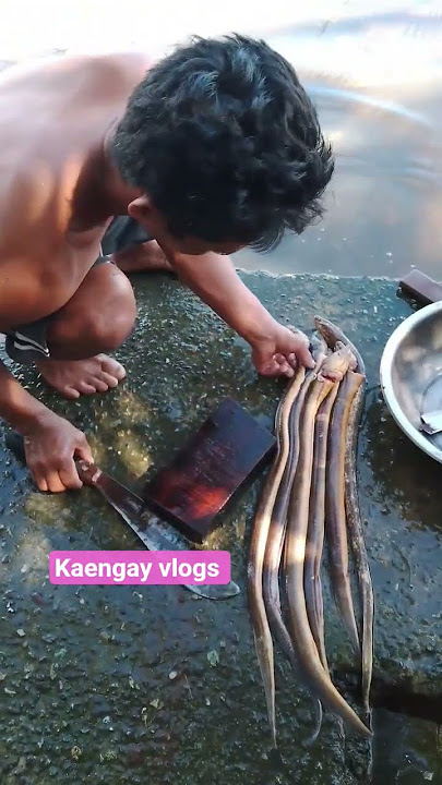 pang adobong igat🐟🌾