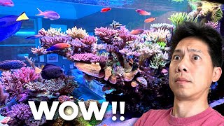 Learning from SPS Master + Awards-winning reef tank!!