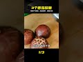 用3個香菇簡單一做，酥脆鮮香可口，美味又解饞，上桌特受歡迎 #香菇做法，酥香口感，剩菜变身，简单快手，下酒神器