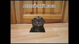 моё настроение в разные уроки но уроки не все #мемкоты #мем