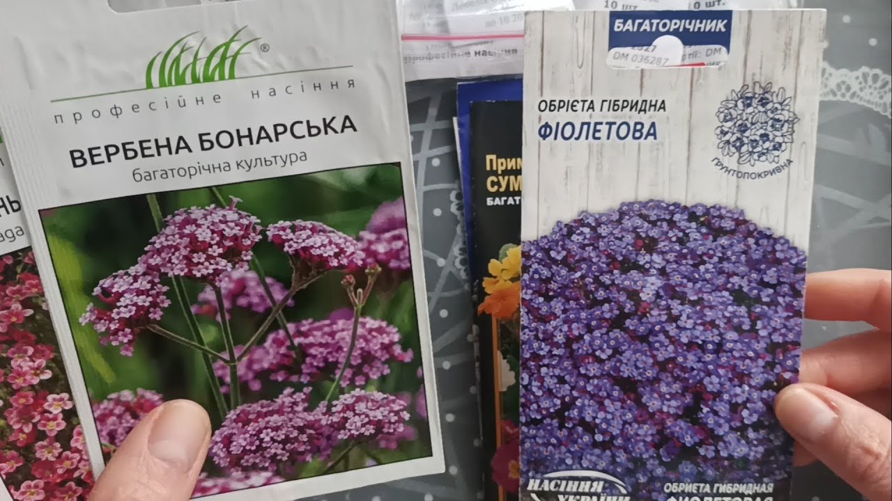 Насіння багаторічних квітів...Ну дуже багато, хом'як ледве заспокоївся))) @КвіточкаАля