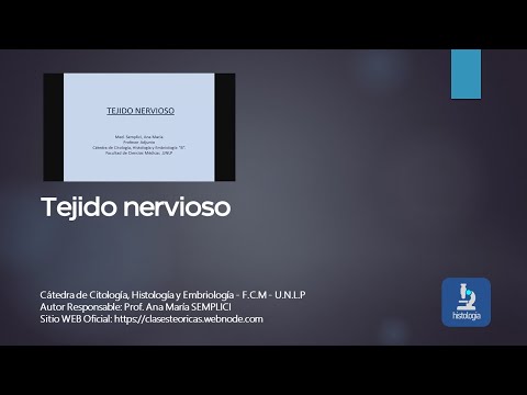 TEJIDO NERVIOSO