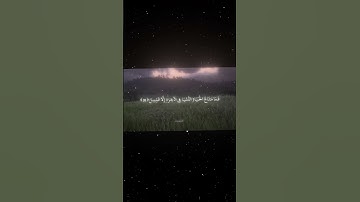 سورة التوبة|38|القارئ:#محمد_اللحيدان #قران #quran #راحة_نفسية #قران_كريم#تلاوة_هادئة#آية#تلاوة_خاشعة