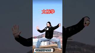 #太極拳#中國功夫#優美#動作#武術 #沅芷#taichi#shorts#跆拳道 #chinesekungfu #少林功夫  #martialarts#中國#功夫#太極#@georgewang9436