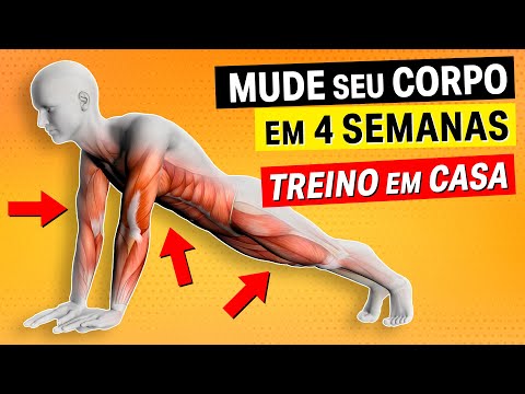 TUDO para EMAGRECER e PERDER BARRIGA - Perder Peso com Saúde! Alimentos,  Dietas e Hábitos 