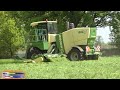 Mowing Grass | eerste snede gras | Krone BiG M 420 - Pure sound | Loonbedrijf Ten Voorde